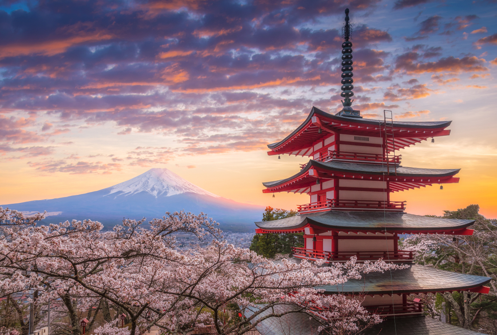 Cherry Blossom Japan