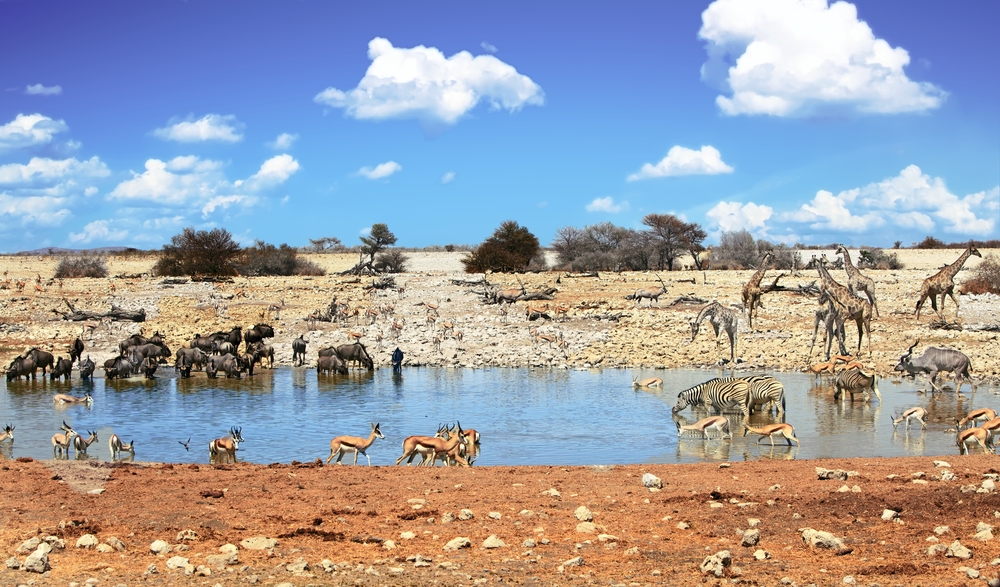 Etosha