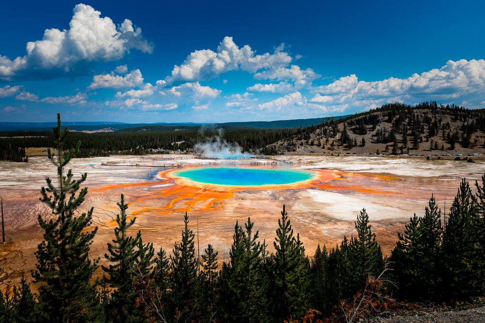 Prismatic Spring