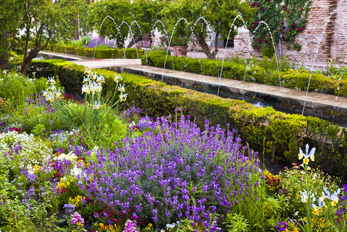 rsz garden 2