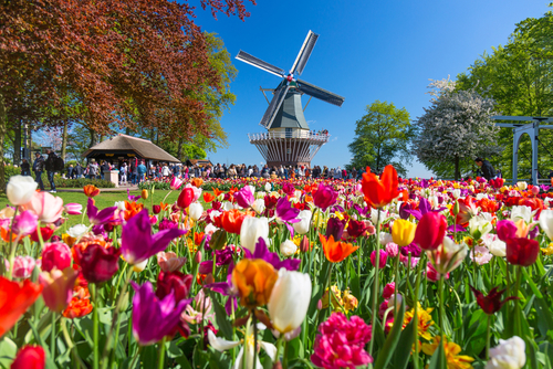 rsz keukenhof