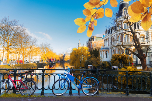 rsz shutterstock 1499651642
